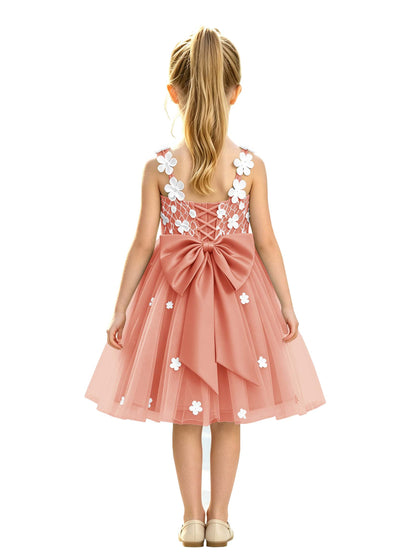 C004 Coral